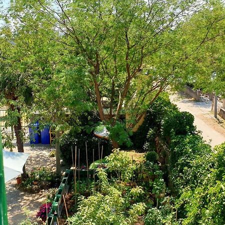 Apartmani Paron Sime Seline ภายนอก รูปภาพ