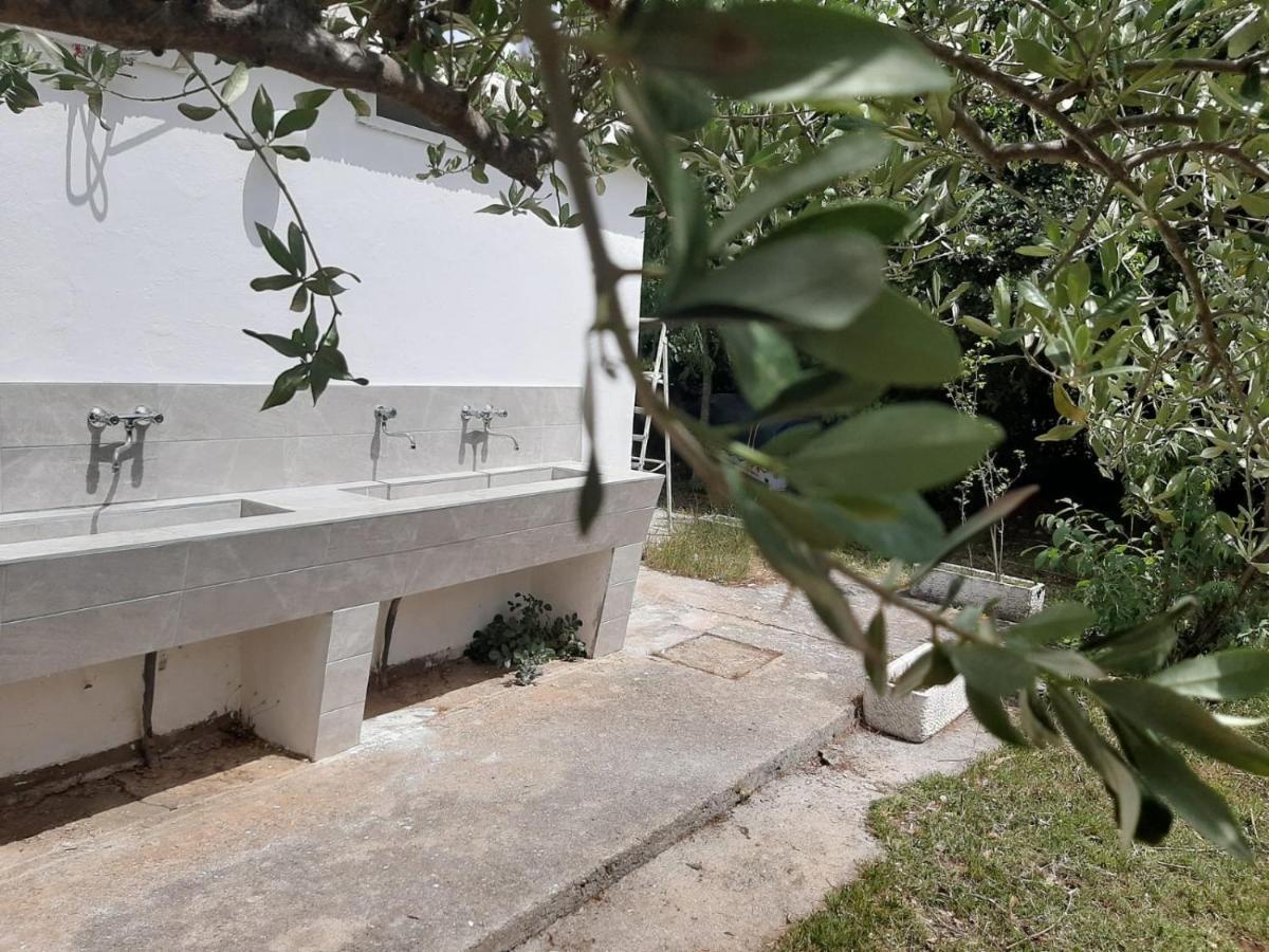 Apartmani Paron Sime Seline ภายนอก รูปภาพ